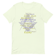 Load image into Gallery viewer, Masonic OB T-Shirt